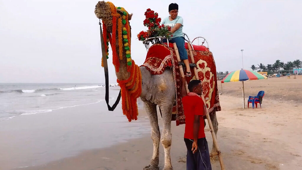 Camel Riding Puri Beach