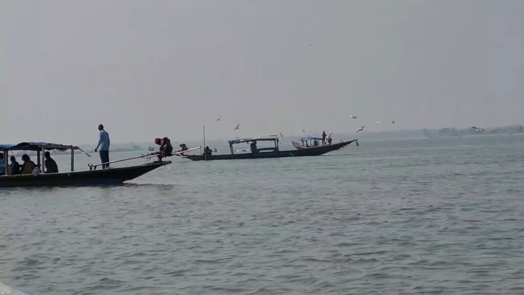 Chilika Lake and Dolphin Watching