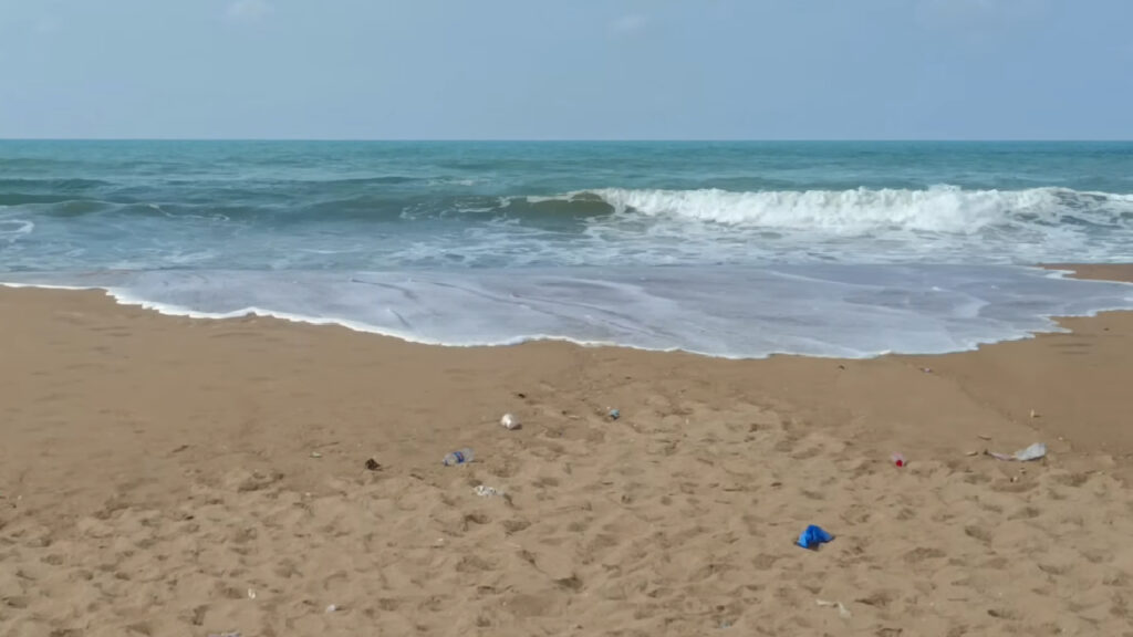 Astaranga Beach (50 km from Puri)