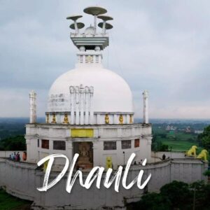 Dhauli