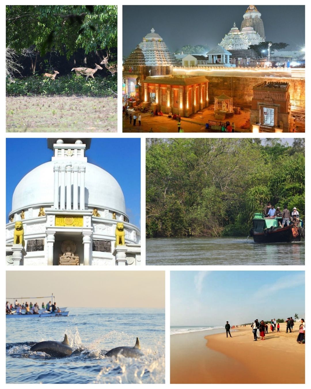 2 nights 3 days puri tour package